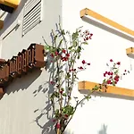 54 Barceloneta 3* ברצלונה