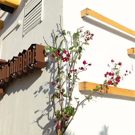 54 Barceloneta 3* Barcelona